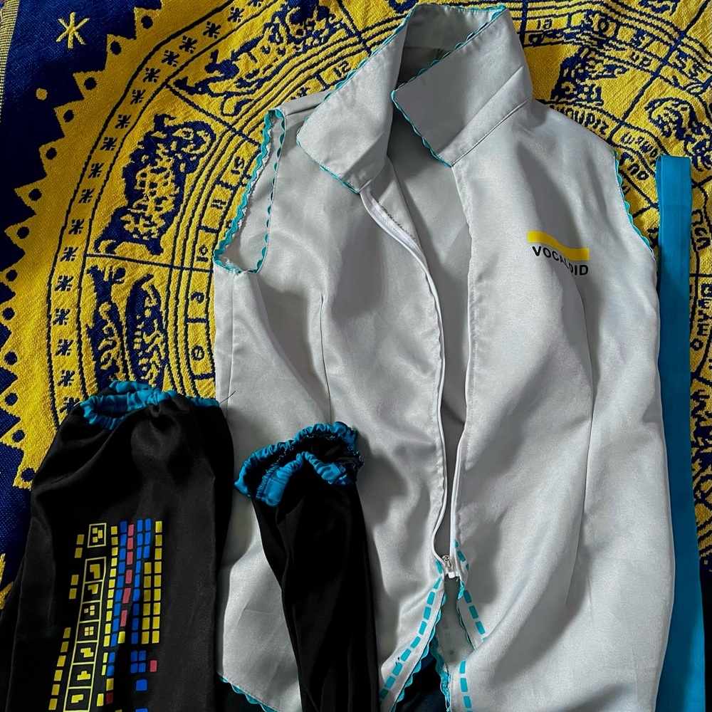 slightly used hatsune miku cosplay!